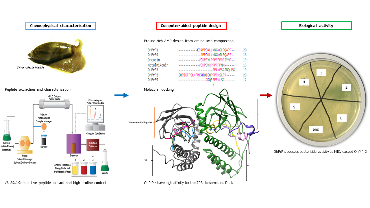 Publication 1